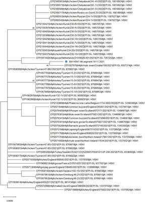 Molecular characterization and phylogenetic analysis of highly pathogenic H5N1 clade 2.3.4.4b virus in Bosnia and Herzegovina